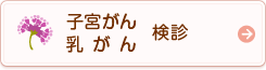 子宮がん・乳がん検診